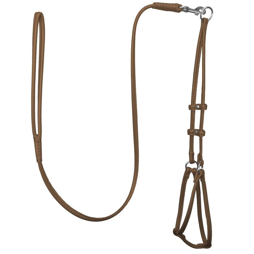 Dogbar Step-in Soft Round Leather Dog Harness w/Leash