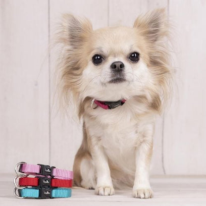 Flamingo - Ziggi Cherry Red Dog Collar