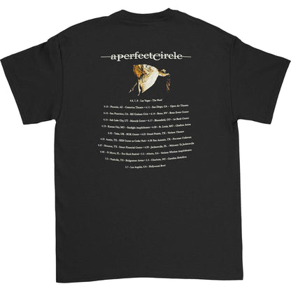 A Perfect Circle Surrender To Gravity Spring Tour T-shirt