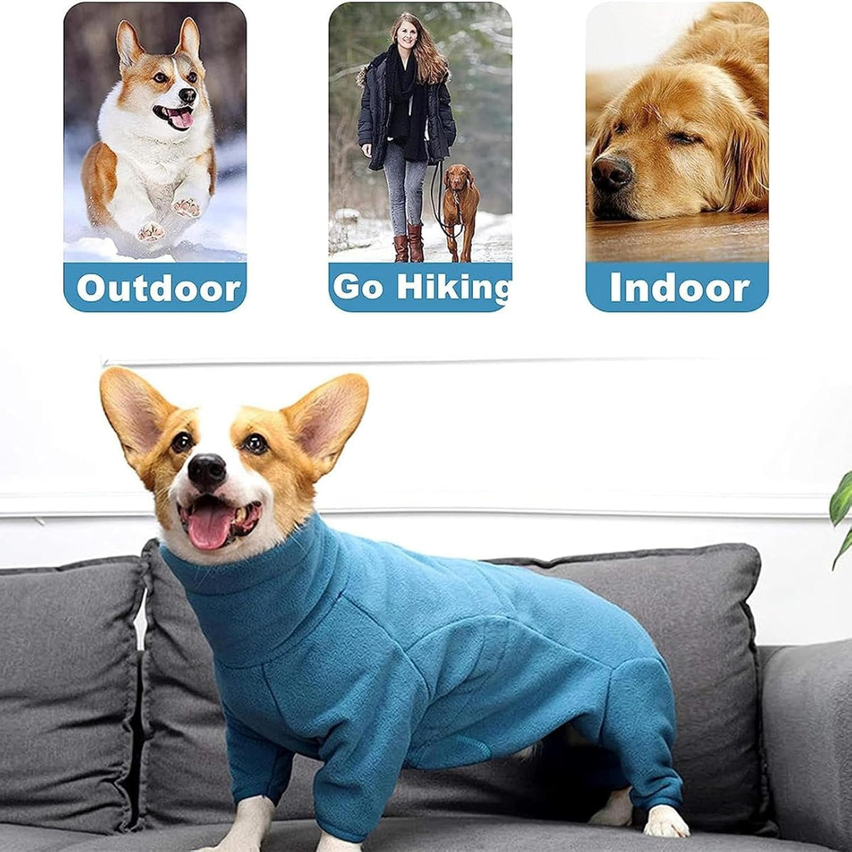 Cozy - fleece dog jacket with zipper and high neck—windproof, full-body warmth for small dogs in winter ( Turquoise).