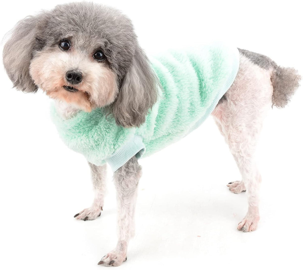 Cozy fleece dog sweater with D-ring - warm winter wear for small breeds & cats (Green)