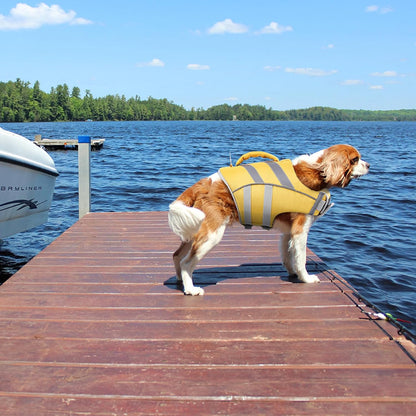 Kuoser - Dog Life Jacket with Reflective Stripes (Yellow)