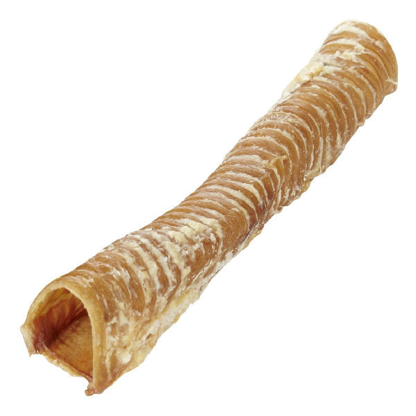 Jumbo Trachea