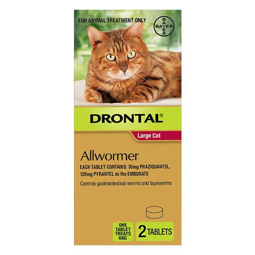 Drontal - Wormers For Large Cats 6Kg