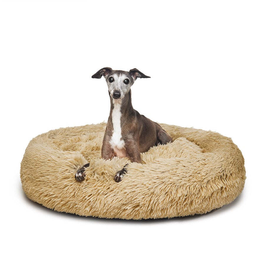 Fur King - "Aussie" Calming Dog Bed