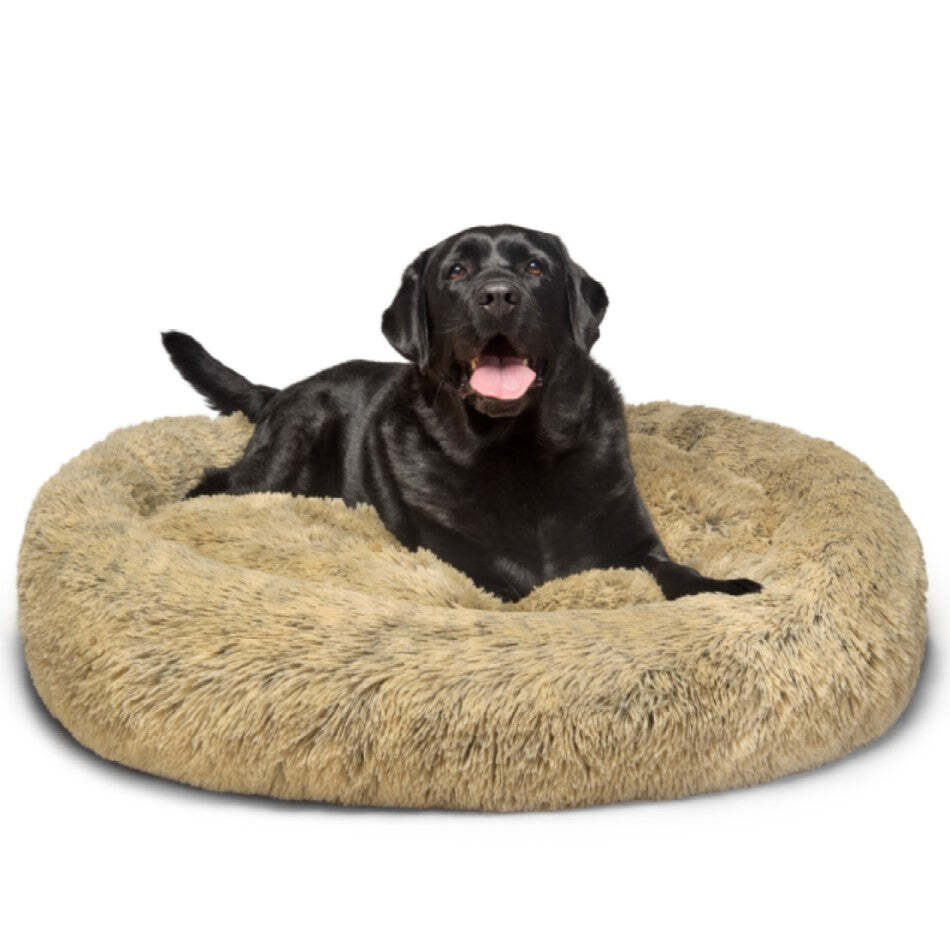 Fur King - "Aussie" Calming Dog Bed