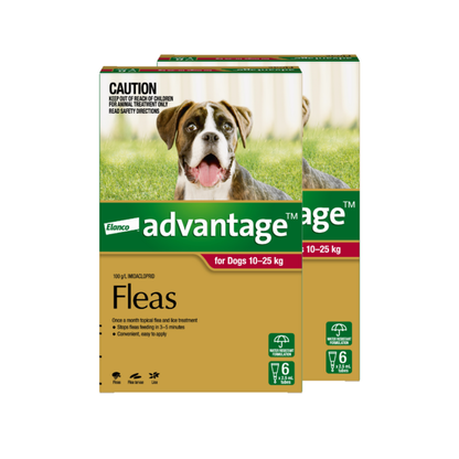 Advantage - For Large Dogs 10 To 25Kg (Red)