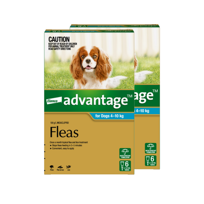 Advantage - For Medium Dogs 4 To 10Kg (Aqua)