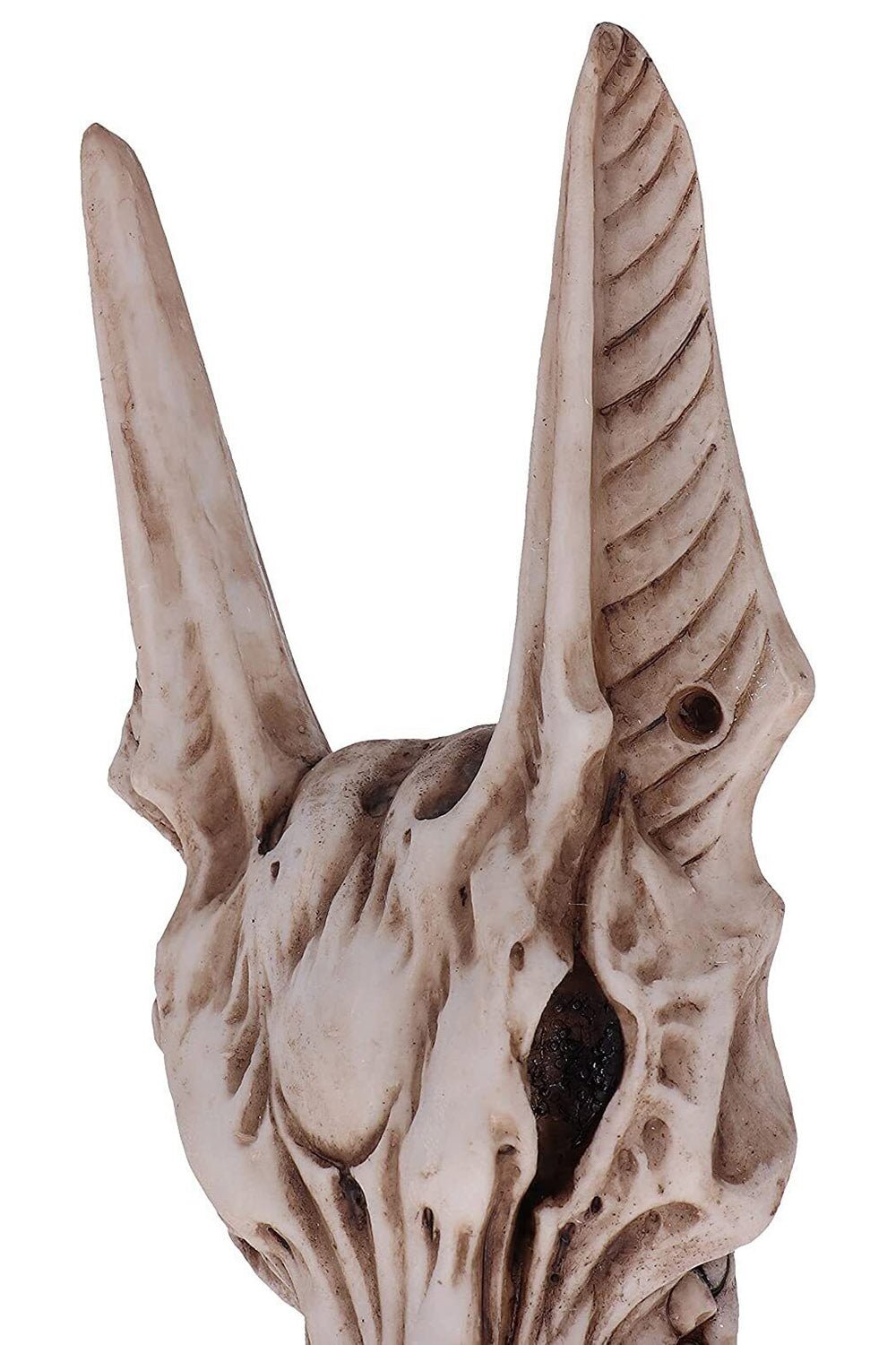 Anubis Skull Door Knocker