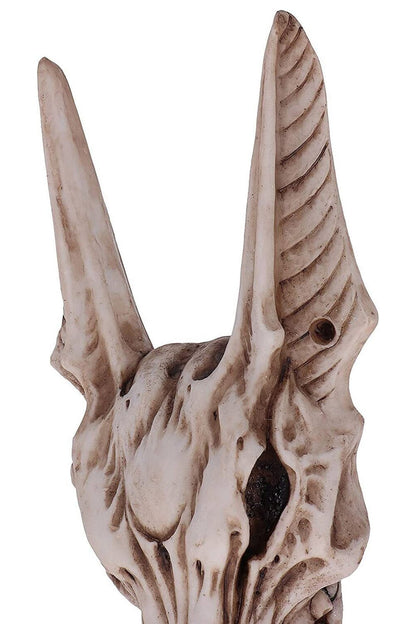 Anubis Skull Door Knocker