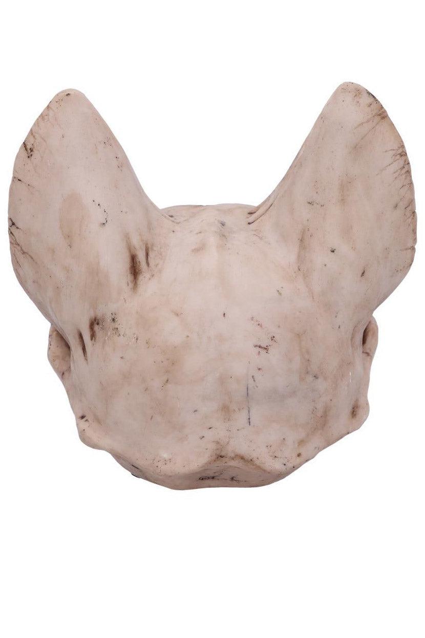 Bastet's Cat Skull Statue