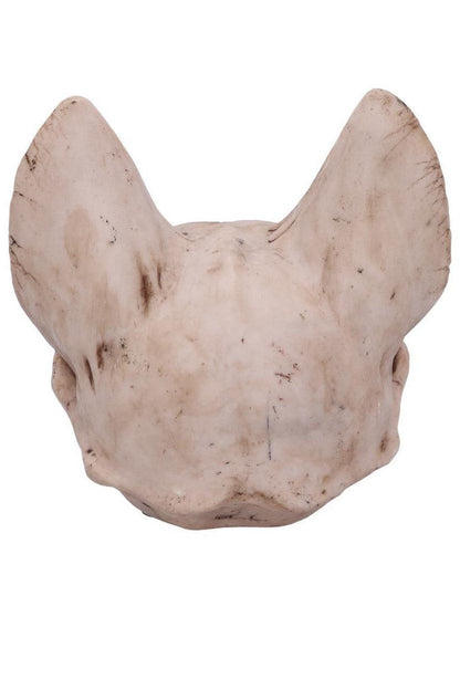 Bastet's Cat Skull Statue