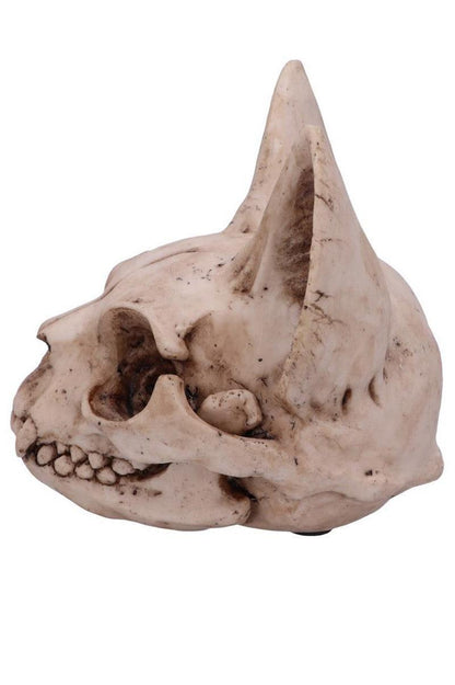Bastet's Cat Skull Statue