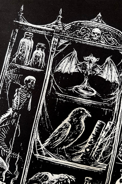 Cabinet of Curiosities Hoodie