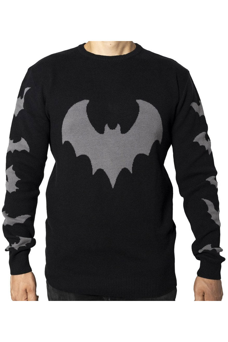 Bat Sleeve Sweater