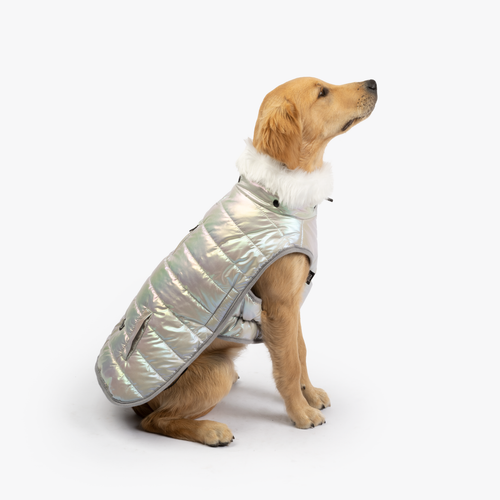 Nikka Easy Fit Jacket (Silver)