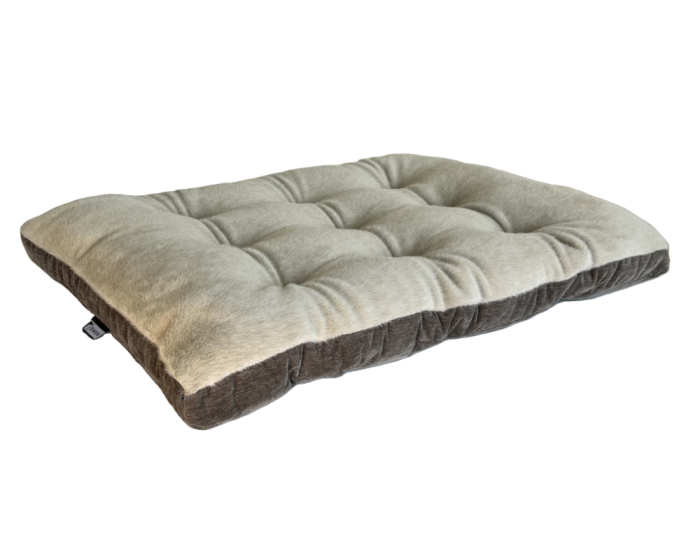 Dream Futon Beds