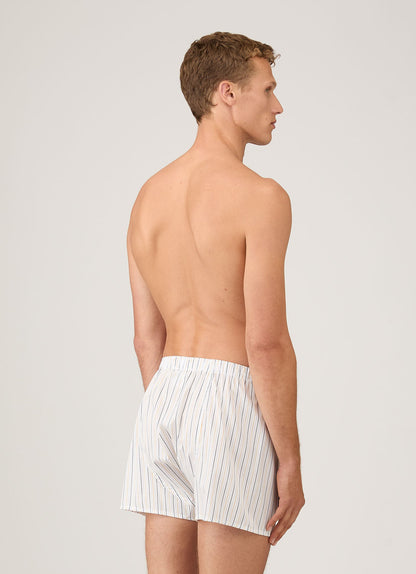 Mens Classic Boxer Shorts In White Blue Green Mbox4700 Stnz