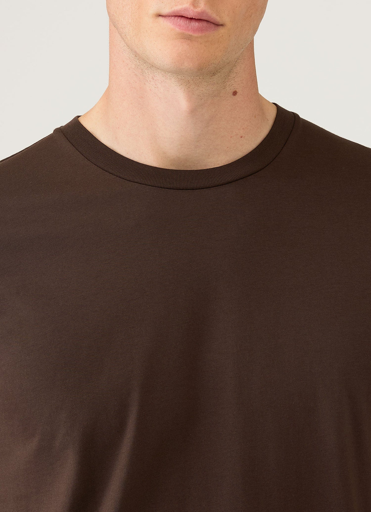 Mens Riviera Midweight Tshirt In Dark Chocolate Mtsh0007R Brgs