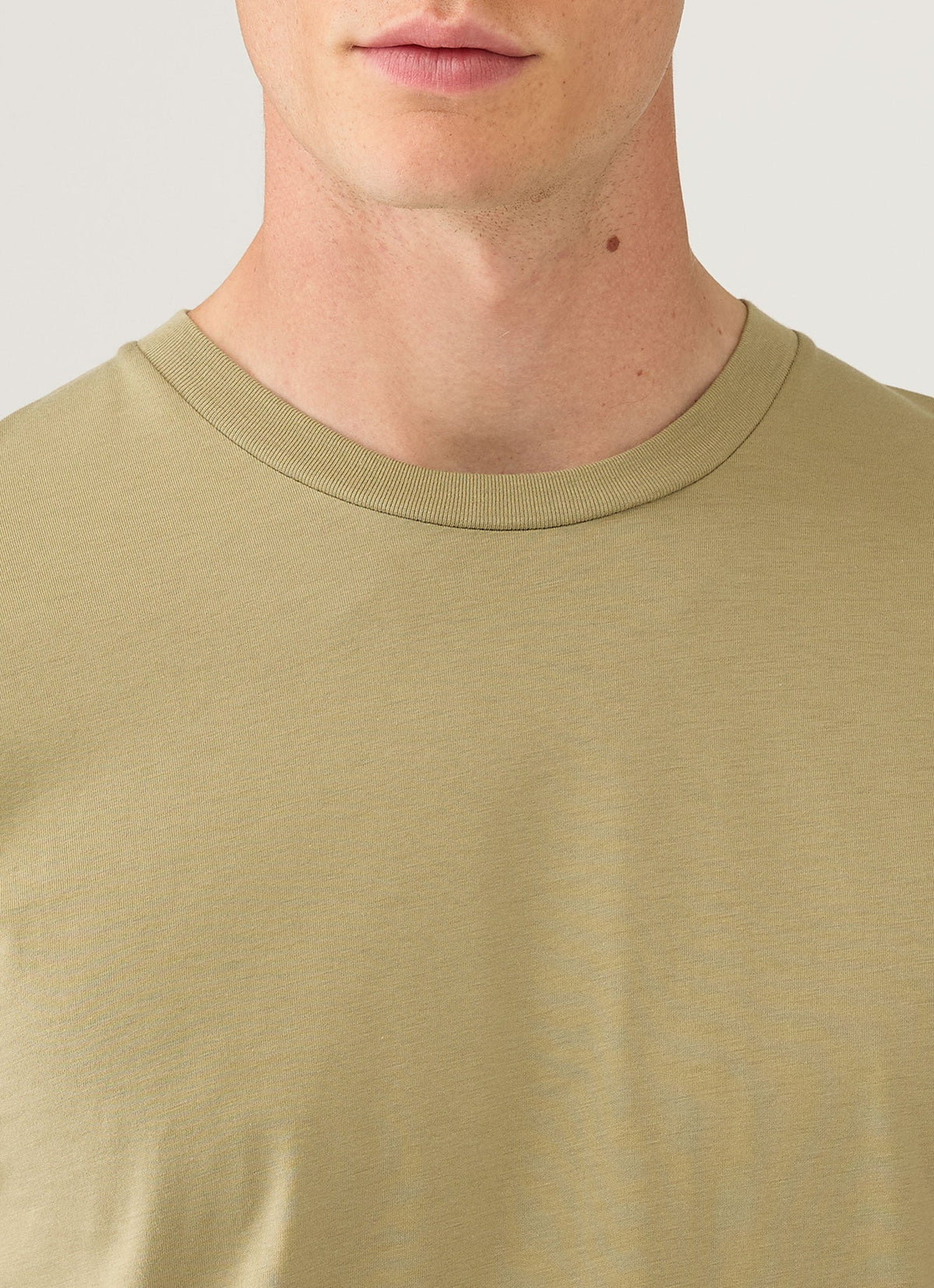 Mens Riviera Midweight Tshirt In Pistachio Mtsh0007R Gnix