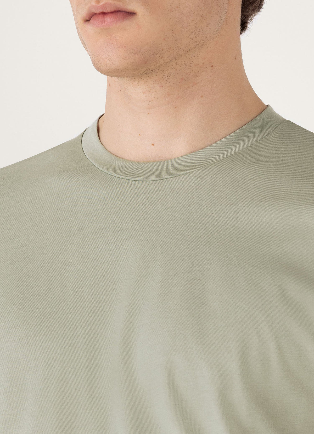 Mens Riviera Midweight Tshirt In Pastel Green Mtsh0007S Gnii