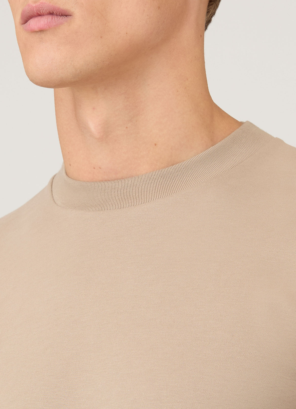 Mens Long Sleeve Heavyweight Tshirt In Mink Mtsh0182 Brgb