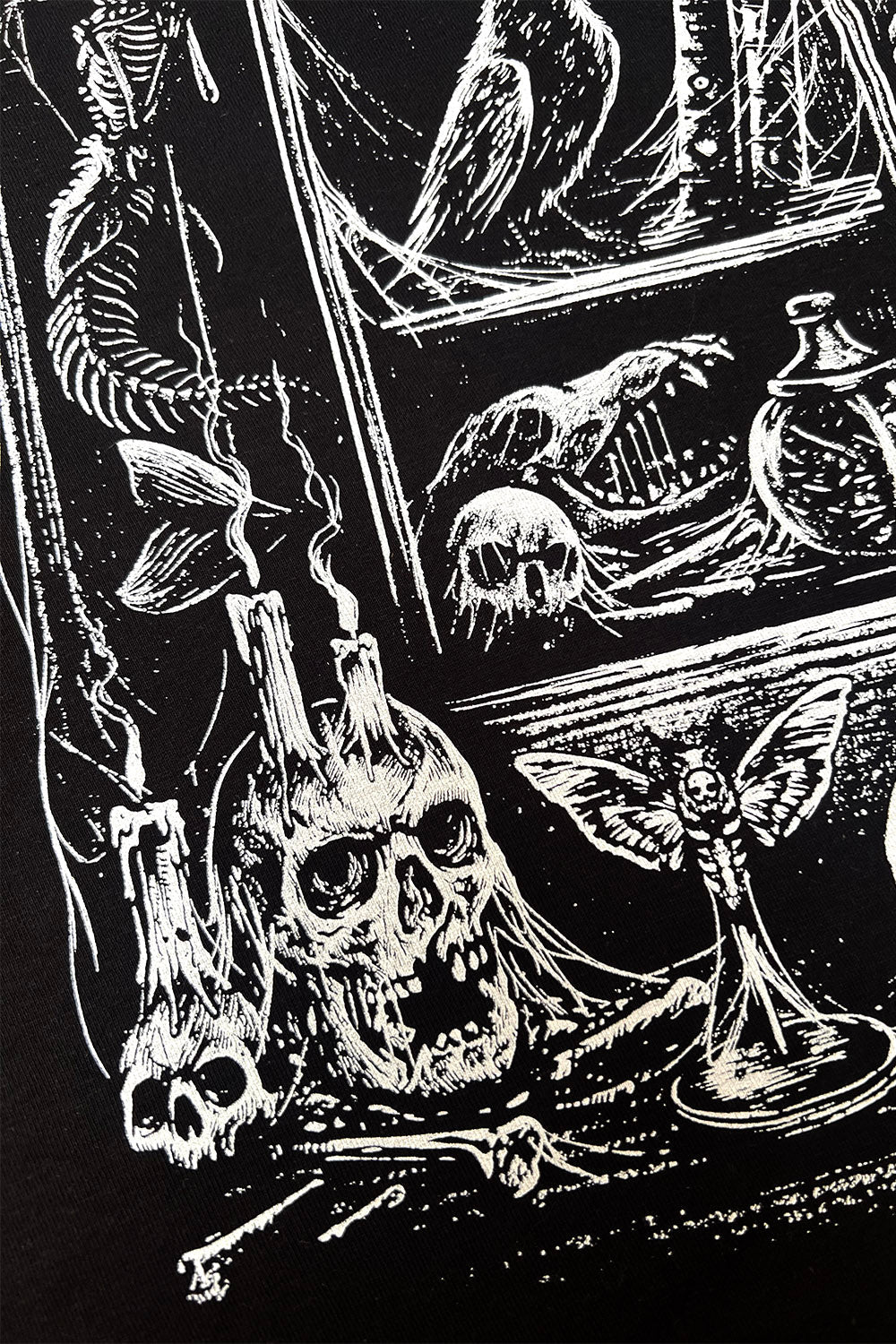 Cabinet of Curiosities Hoodie
