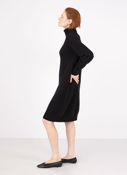Womens Lambswool Roll Neck Dress In Black